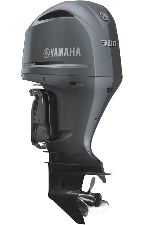 F300BET/FL300BET-300PK